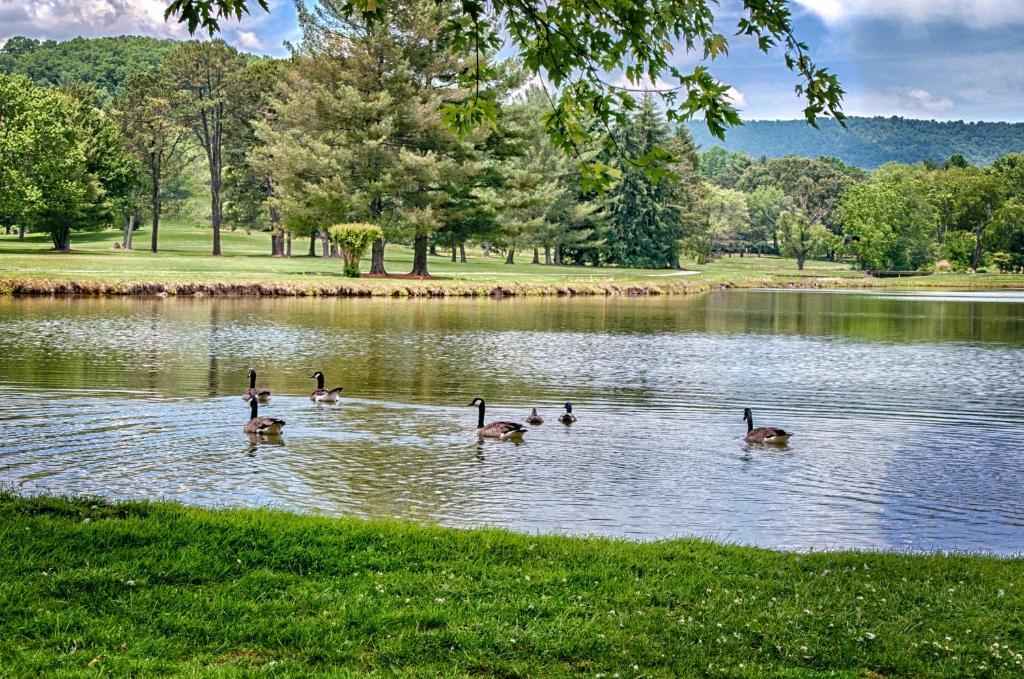 Etowah Valley Golf & Resort Exterior photo